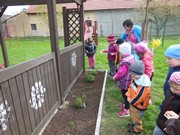 Pěstujeme bylinky na zahrádce